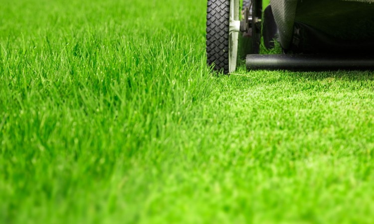 41779309 - lawn mower on green lawn