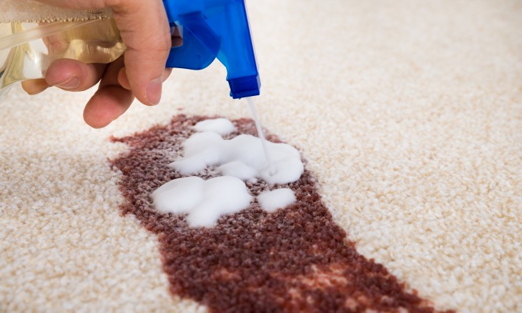 Person Spraying Cleaning Agent On Carpet