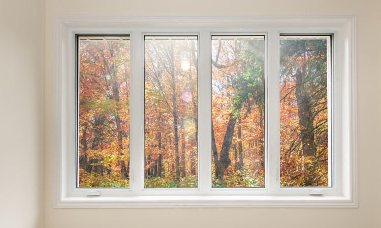 Window with view of autumn forest
