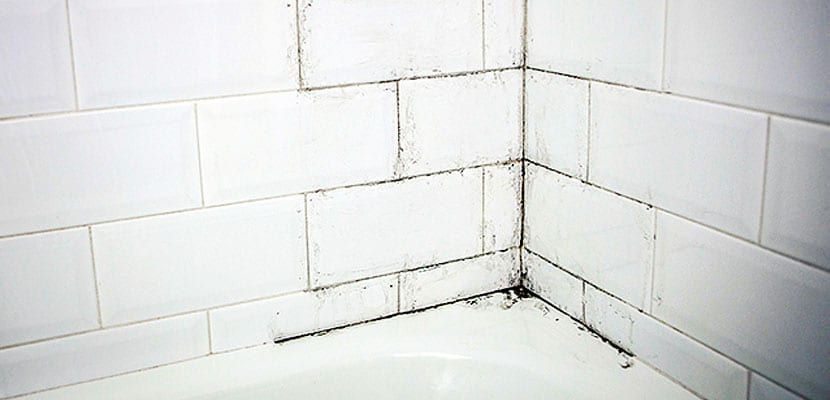 mueble Isla Stewart adverbio Cómo eliminar el moho del baño y blanquear las juntas - Senesant 2000
